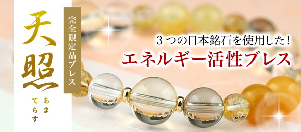 ���������ʥ֥쥹��ŷ��Ver.5��